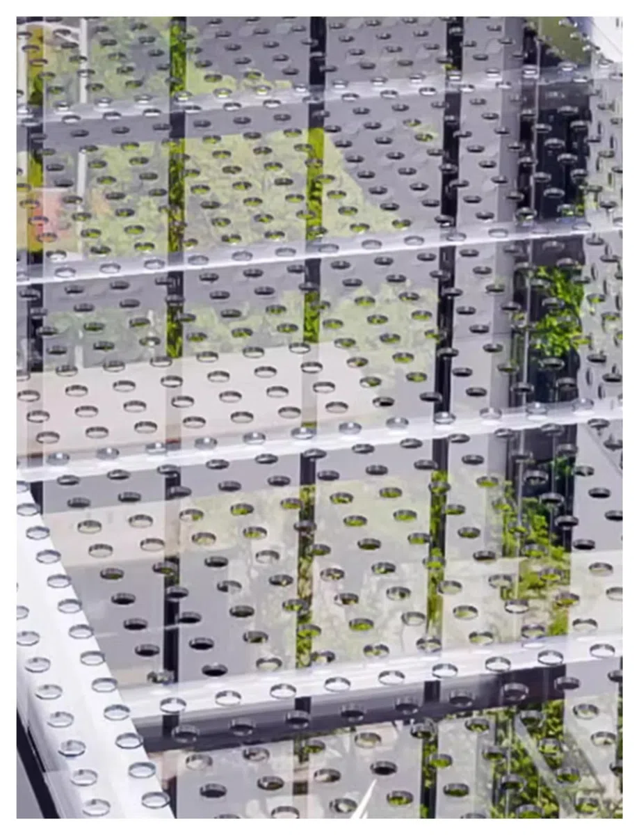 Feuilles de polycarbonate perforées de 60 cm de large, trou de 10 mm, plaque en plastique légère, panneaux décoratifs, protections de fenêtre anti-fuites(60x120cm/23.62x47.24in)