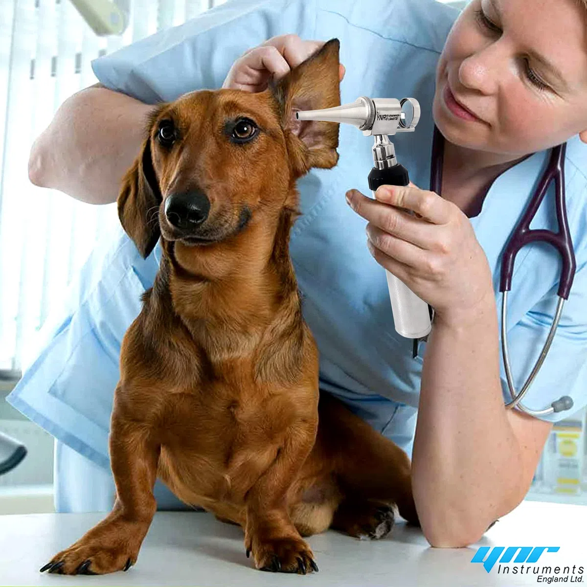 YNR Magniscope vétérinaire opérationnel otoscope speculum ensemble de spéculum vétérinaire diagnostic vétérinaire CE